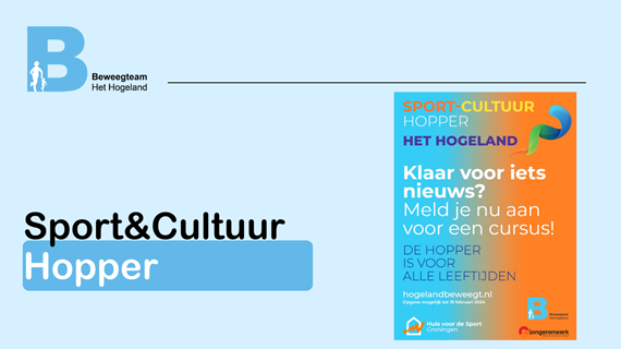 Website format Hogeland Beweegt 